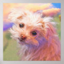 Buscar perritos posters Perros