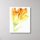 Buscar tulipanes amarillos lienzos Tulipán