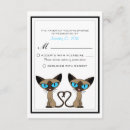 Buscar gatos siameses del amor Lindo