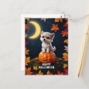 Buscar calabazas lindas postales Halloween