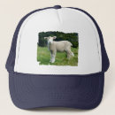 Buscar bebé lindo gorras Para todos
