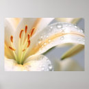 Buscar calla lilies arte Naturaleza