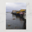 Buscar monterey postales Naturaleza