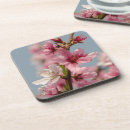 Buscar flores japonesas posavasos Flor de cerezo