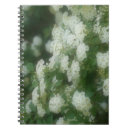 Buscar apuesta libretas Fotografía