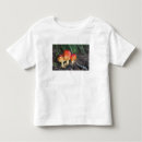 Buscar amanita camisetas Colorido