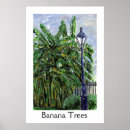 Buscar árbol de plátano posters Árboles