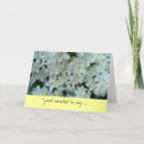 Buscar paperwhites tarjetas Naturaleza
