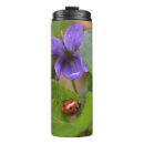 Buscar ladybug termos Insecto