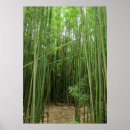 Buscar bambú verde posters Árboles
