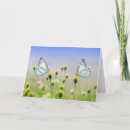 Buscar polillas tarjetas General y unisex