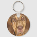 Buscar sangre llaveros Cadena de claves