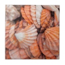 Buscar key west azulejos America