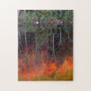 Buscar parque nacional del acadia puzzles Costa