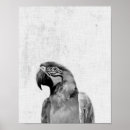 Buscar bebe del pajaro posters Cualquier niño