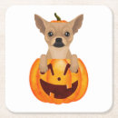 Buscar chihuahua posavasos Perro