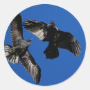 Buscar cuervos pegatinas Lindo