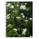 Buscar jazmín cuadernos Jasmine