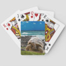 Buscar animales acuáticos barajas de cartas Playa