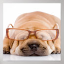 Buscar shar pei arte Cachorro