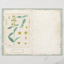 Buscar flores de la margarita manualidades Para ella