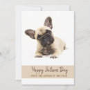 Buscar french bulldog tarjetas Puppy