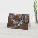 Buscar raíces del árbol tarjetas Árboles