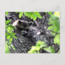 Buscar oculto postales Adorable