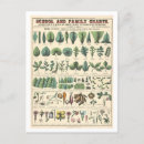 Buscar gráfico postales Botánico