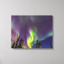 Buscar aurora boreal lienzos Superstock