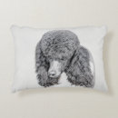Buscar caniche blanco cojines Cachorro