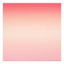 Buscar rosa amarillo posters Para todos