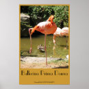 Buscar primos posters Bailarina