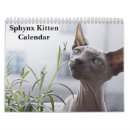 Buscar gatitos calendarios 2027