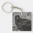 Buscar raven llaveros Vida silvestre