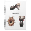 Buscar cthulhu libretas Monstruo