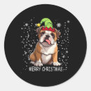 Buscar bulldog inglés pegatinas Cumpleaños