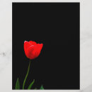 Buscar fondo negro flyers Flor