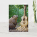 Buscar castor tarjetas Vida silvestre
