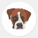 Buscar boxer pegatinas Animales