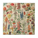 Buscar hechos azulejos Para ella