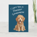 Buscar goldendoodle Divertido