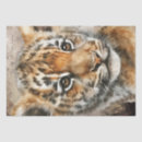 Buscar cubo papel de seda Animal