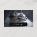 Buscar cat tarjetas de visita Profesional