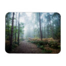 Buscar misty imanes Paisaje