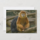 Buscar desnudo postales Primate