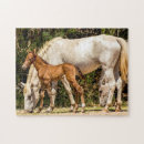 Buscar bigotes puzzles Vida silvestre