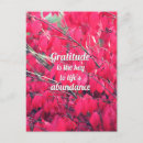 Buscar gratitud postales Motivación
