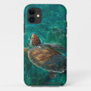Buscar tortuga electronica Caso