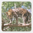 Buscar ecuador pegatinas Animal